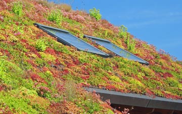 Waddon living roof systems